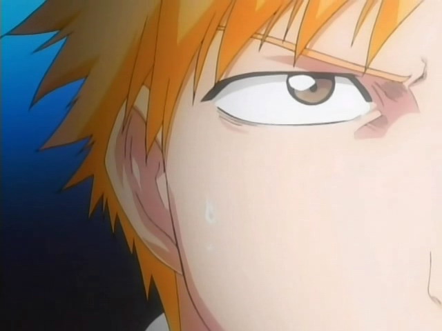 Otaku Gallery  / Anime e Manga / Bleach / Screen Shots / Episodi / 007 - Saluti da un animale di pezza / 033.jpg